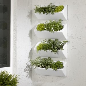 South Shore Dalya Plastic Wall Planter | Wayfair